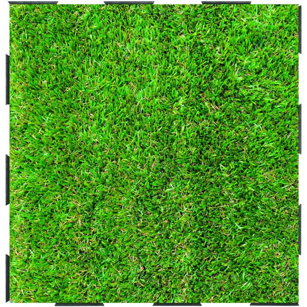 dalle gazon vert