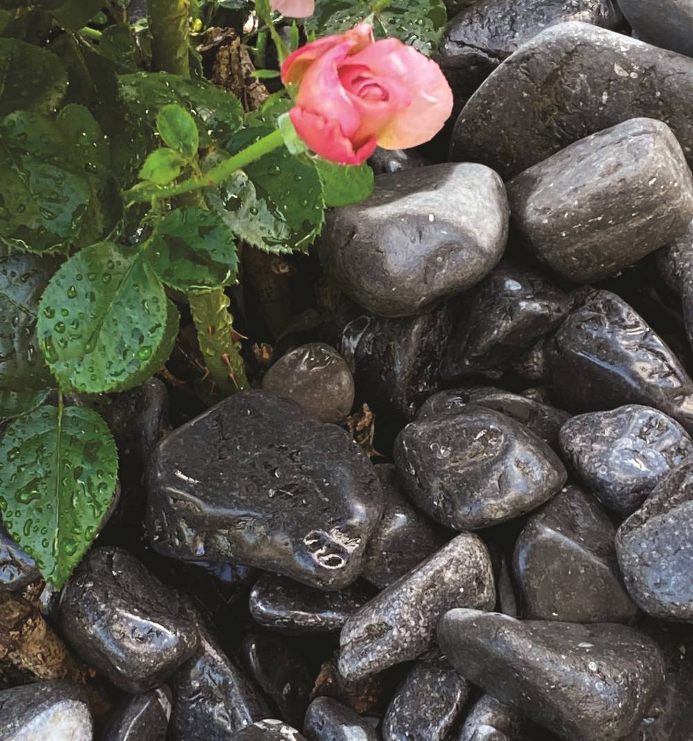 Galet Noir Mat 30-60 in situ mouillé