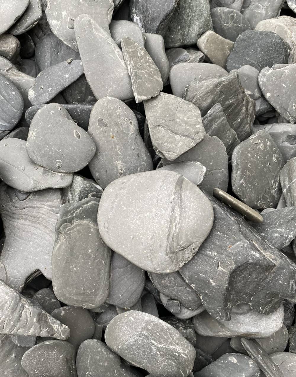 Schiste Gris Tambouriné 30/60