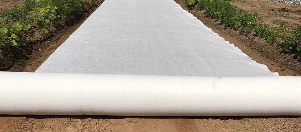 geotextile in situ