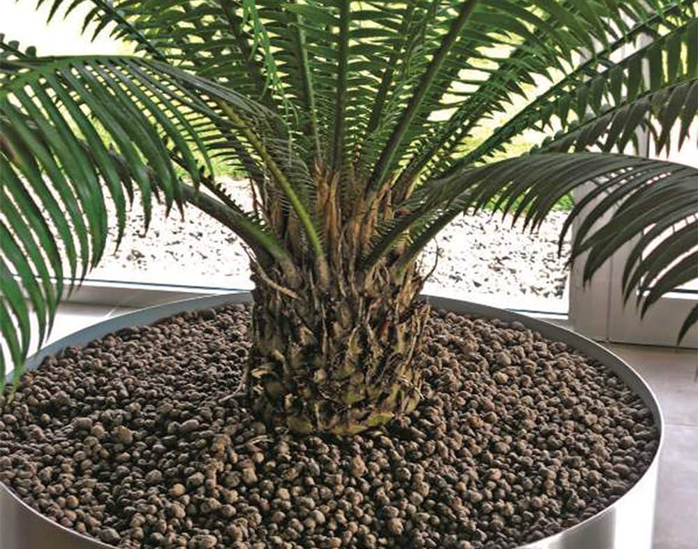 bille argile en pot