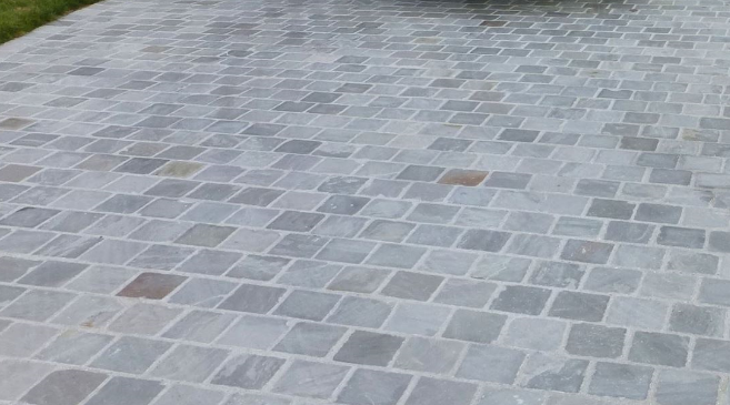 Pave-Kandla-gris-2-