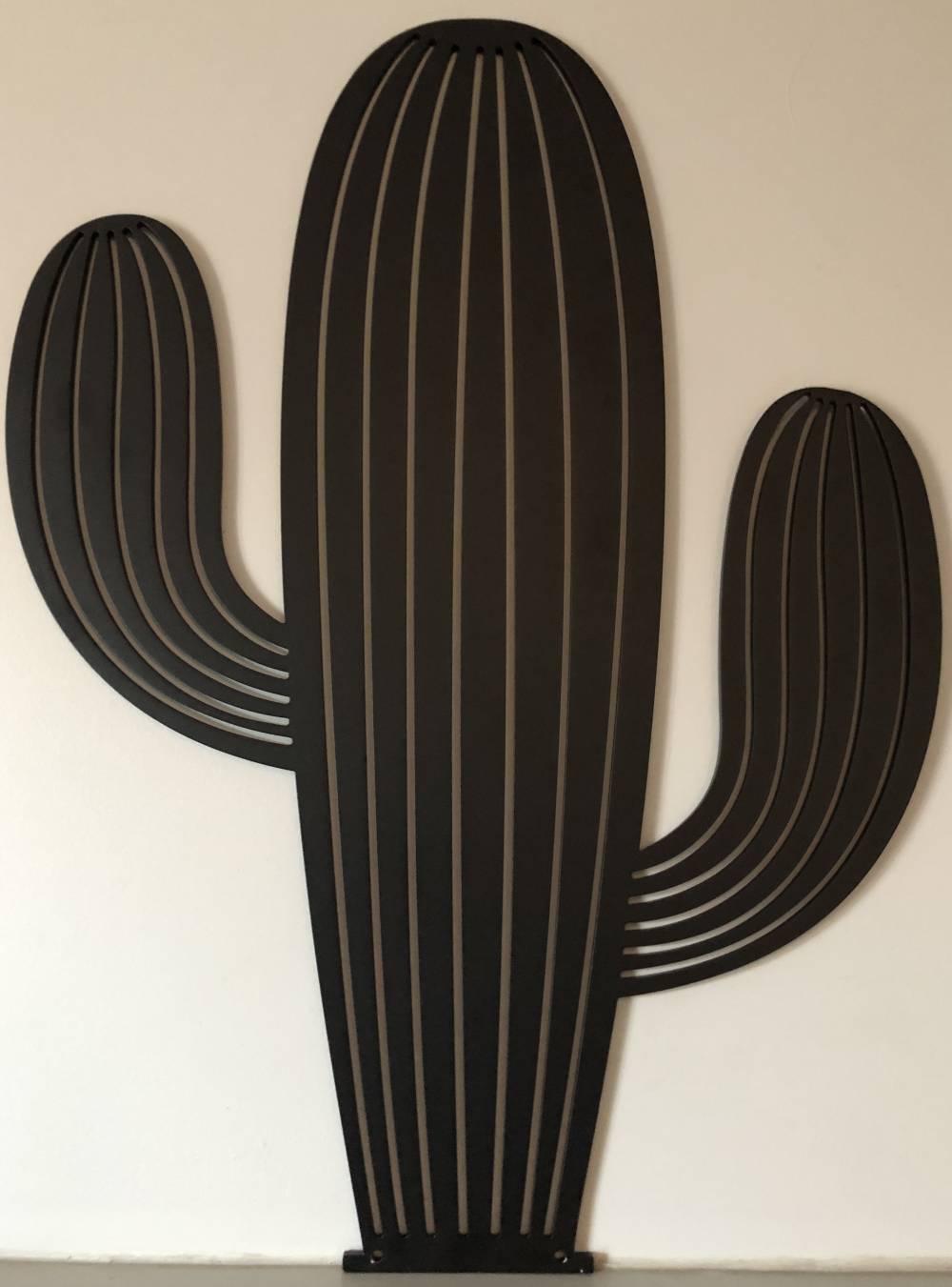 CACTUS MOHAVE