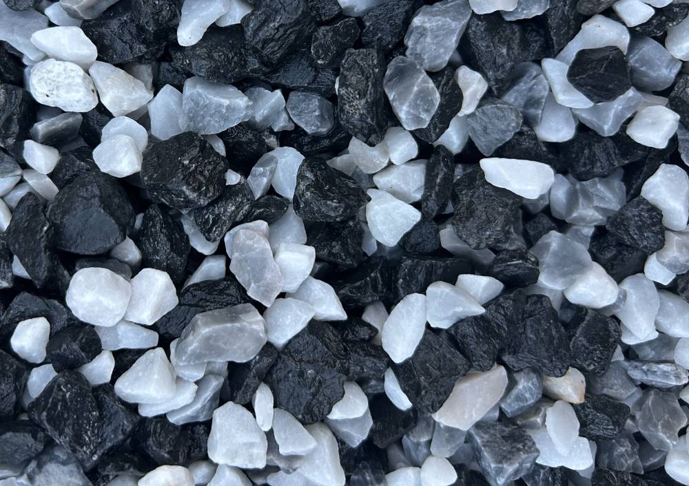 Gravier Dalmatien 8-12