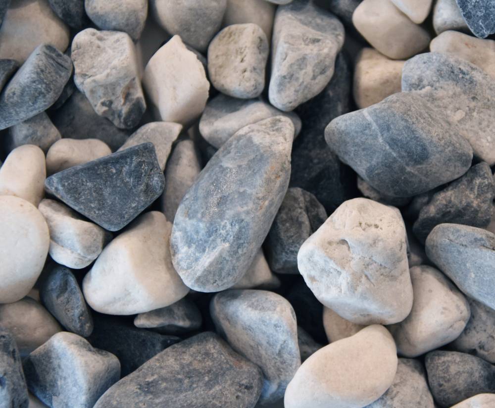 galet dalmatien-ZOOM