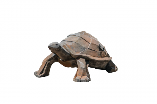 tortue-kubis-demi-rouille