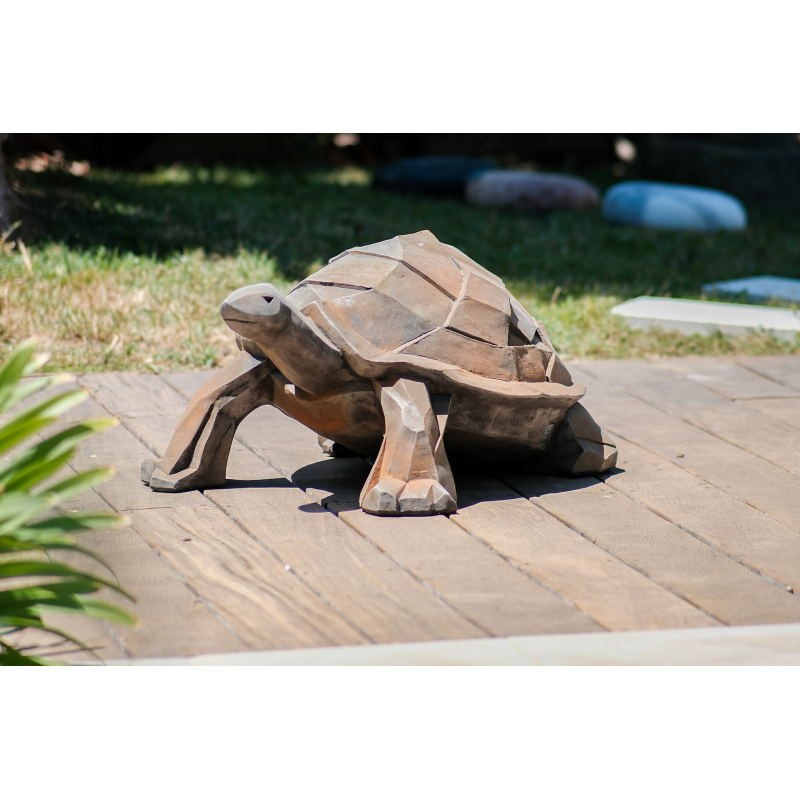 tortue-kubis-demi-rouille (1)