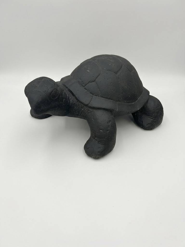 Tortue Large