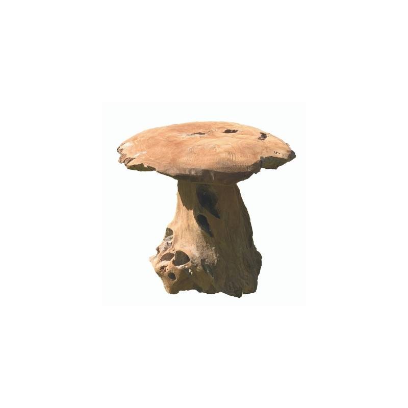 champignon-teck